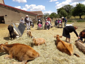 KODAK Digital Still Camera